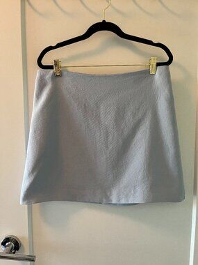 Aritzia Mini Skirt